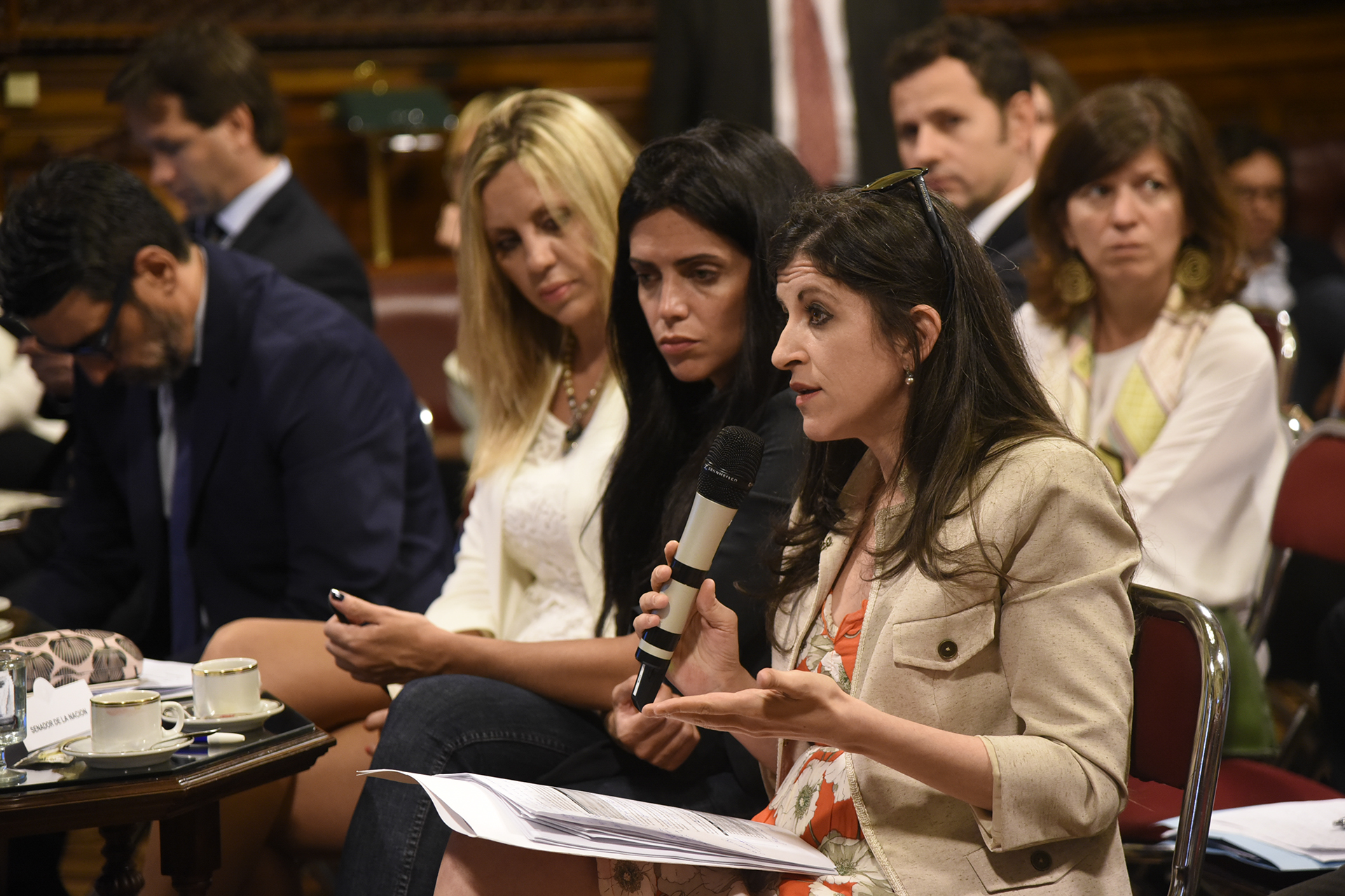 Galeria de imagenes de la noticia EL TITULAR DE LA ANSES BRINDÓ EN EL CONGRESO UN BALANCE DE GESTIÓN DEL ORGANISMO